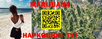 a pvp Заводоуковск