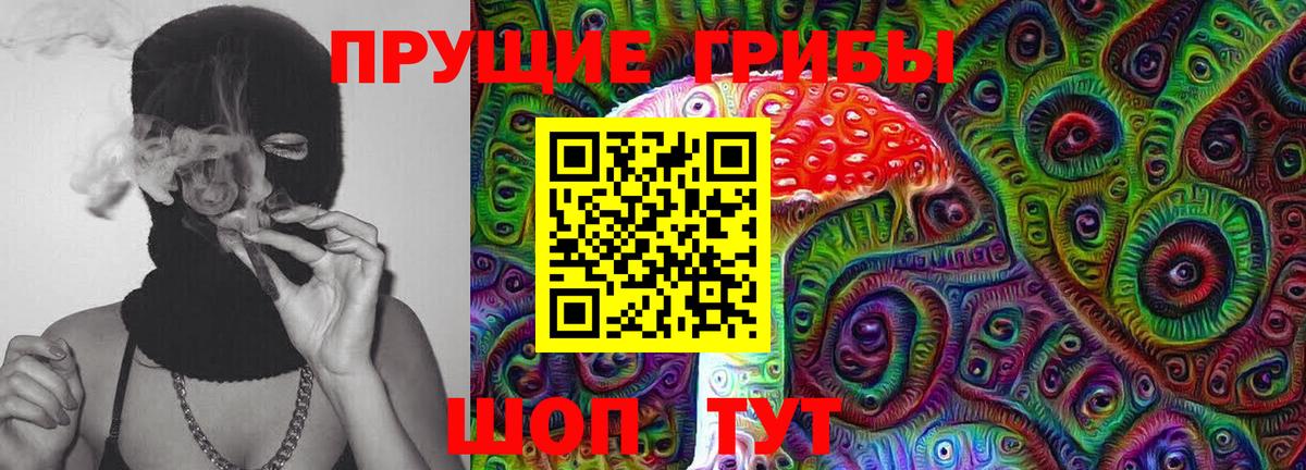 Мичуринск  Псилоцибиновые грибы Psilocybe  Вход с VPN 